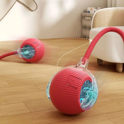 Rechargeable Interactive Rolling Ball Toy for Cats