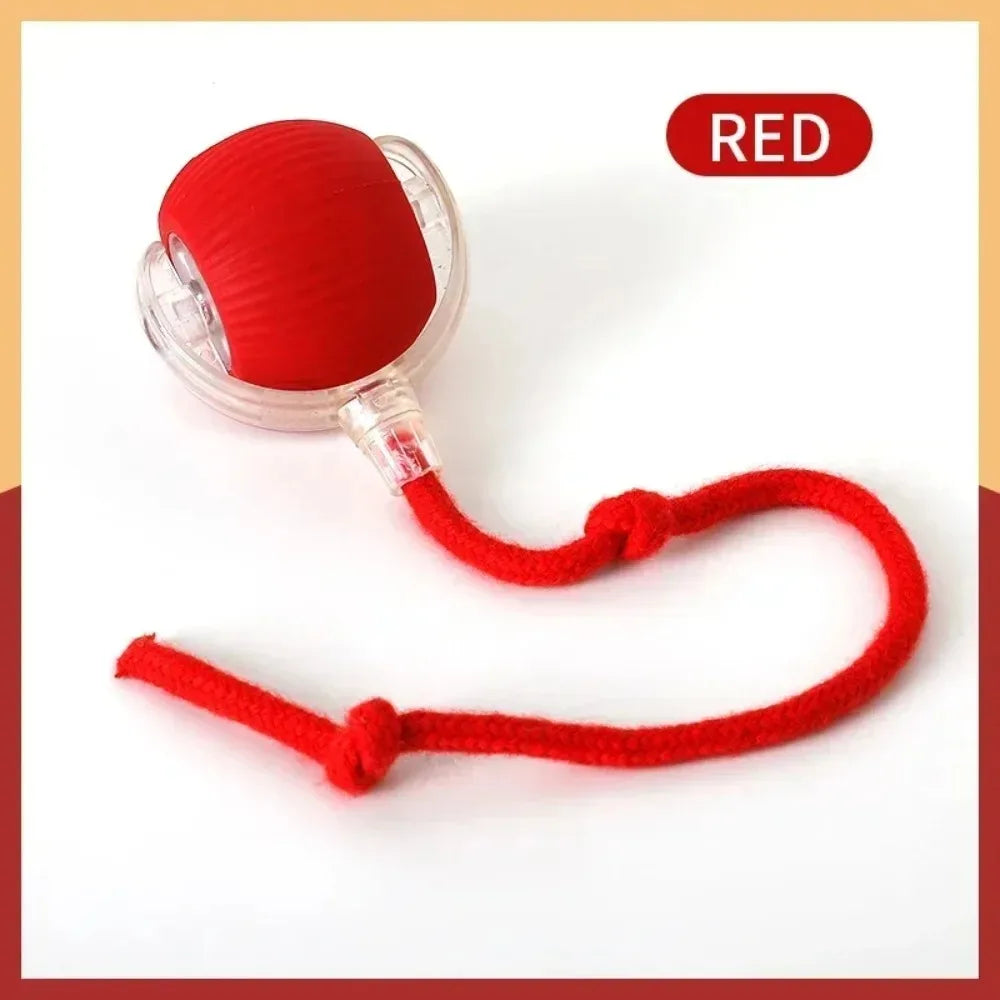Rechargeable Interactive Rolling Ball Toy for Cats