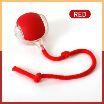 Rechargeable Interactive Rolling Ball Toy for Cats