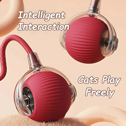 Rechargeable Interactive Rolling Ball Toy for Cats