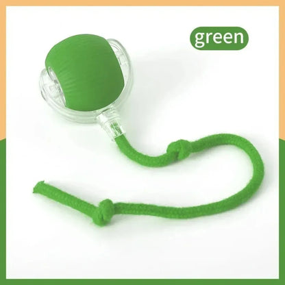 Rechargeable Interactive Rolling Ball Toy for Cats