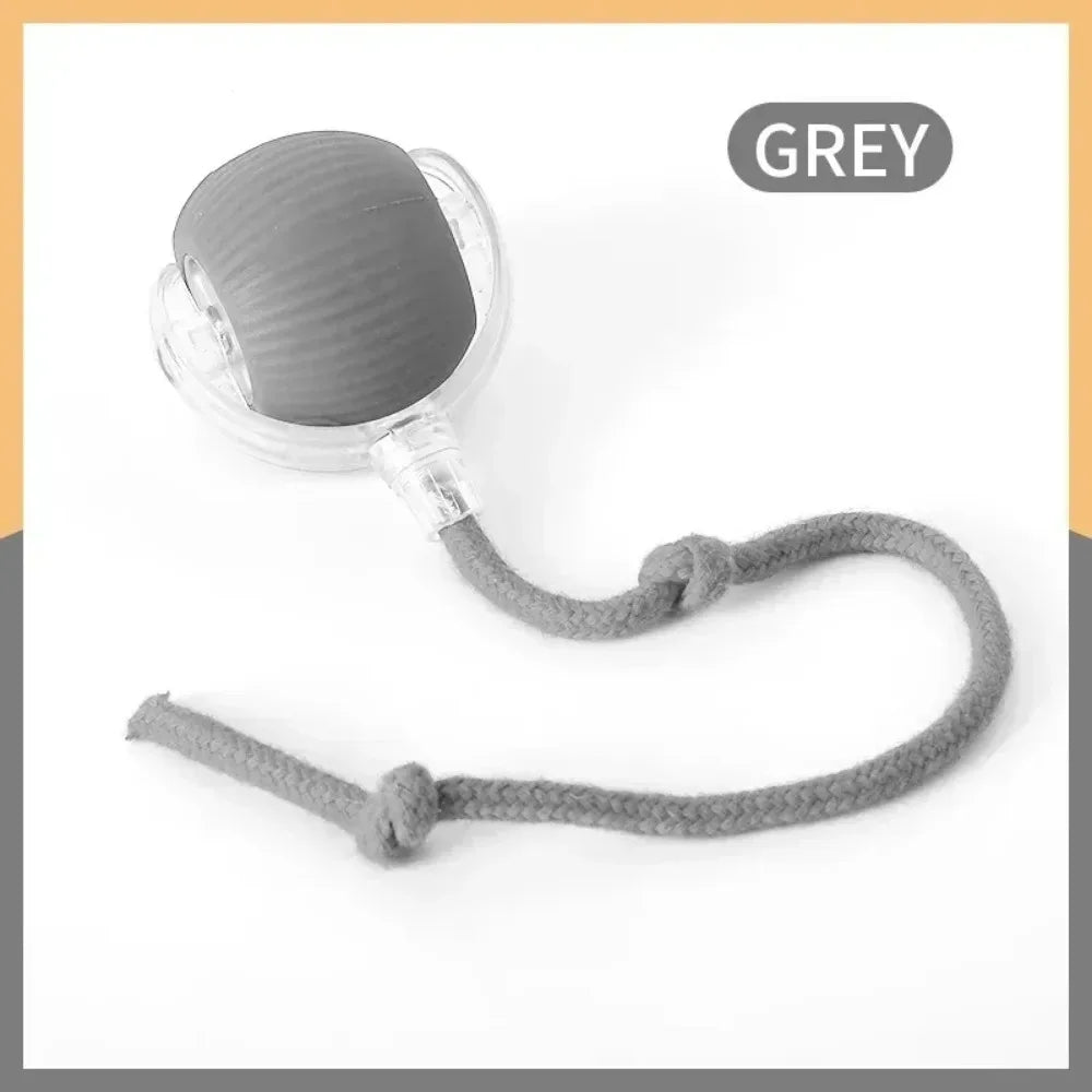 Rechargeable Interactive Rolling Ball Toy for Cats