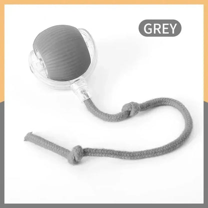 Rechargeable Interactive Rolling Ball Toy for Cats