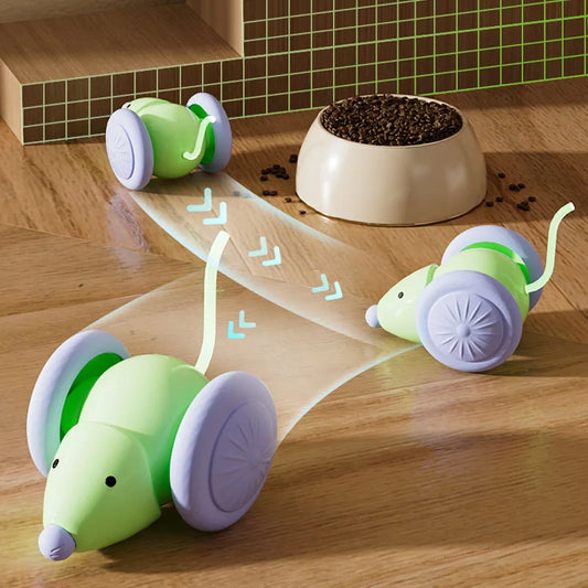 Rechargeable Interactive Mouse Toy with Obstacle Avoidance