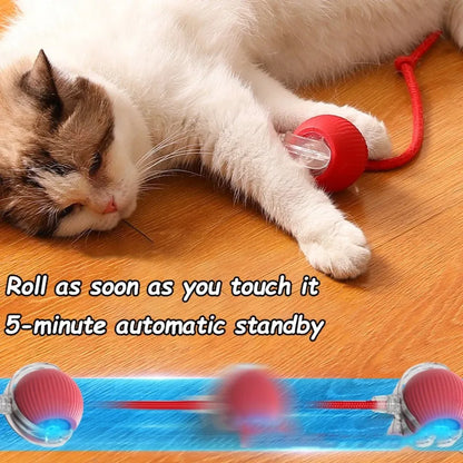 Rechargeable Interactive Rolling Ball Toy for Cats