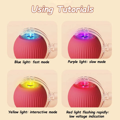 Rechargeable Interactive Rolling Ball Toy for Cats