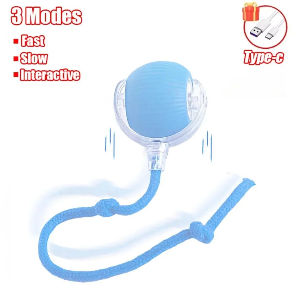 Rechargeable Interactive Rolling Ball Toy for Cats
