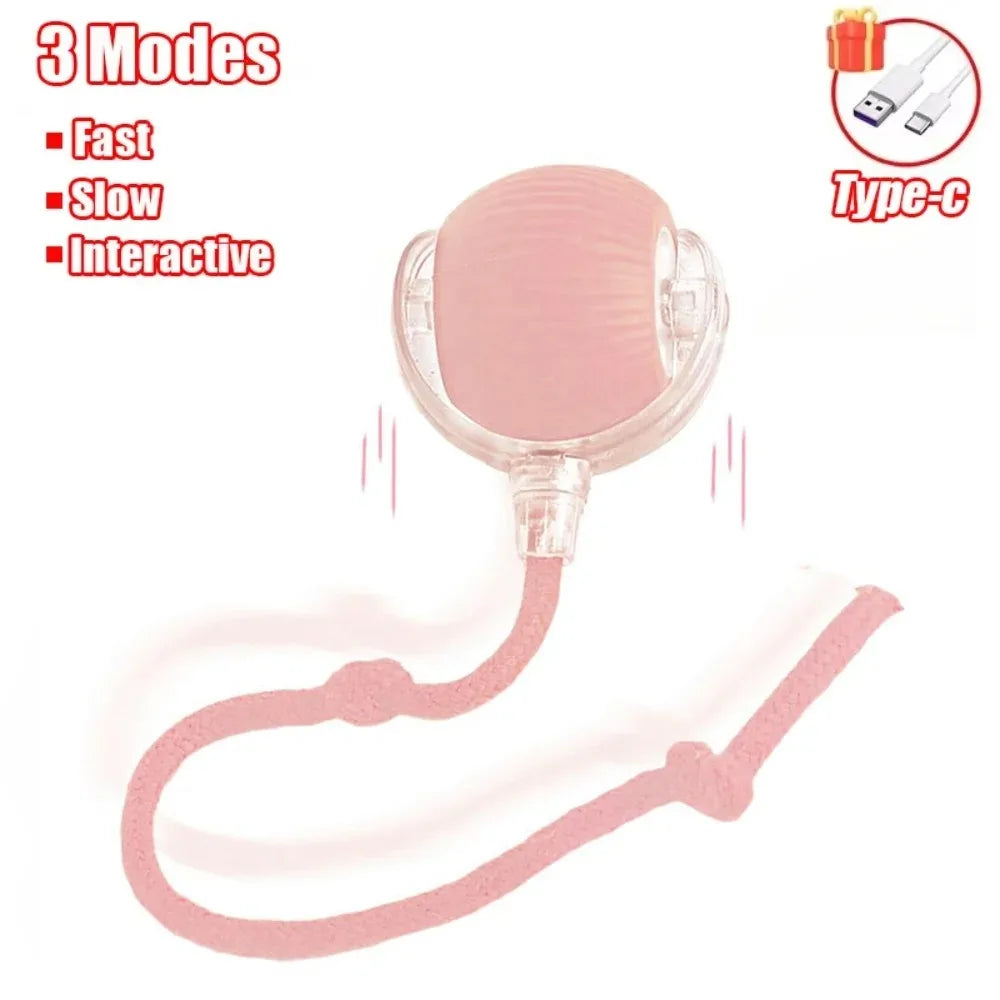 Rechargeable Interactive Rolling Ball Toy for Cats