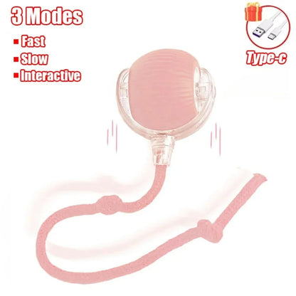Rechargeable Interactive Rolling Ball Toy for Cats