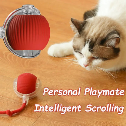 Rechargeable Interactive Rolling Ball Toy for Cats