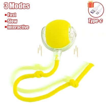 Rechargeable Interactive Rolling Ball Toy for Cats